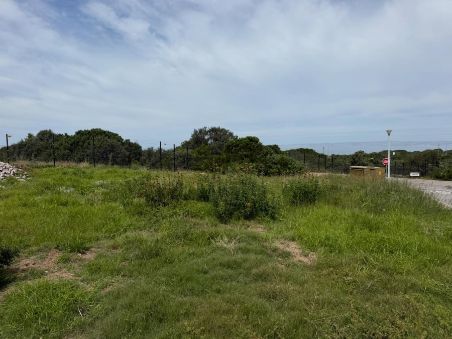 0 Bedroom Property for Sale in Reebok Western Cape